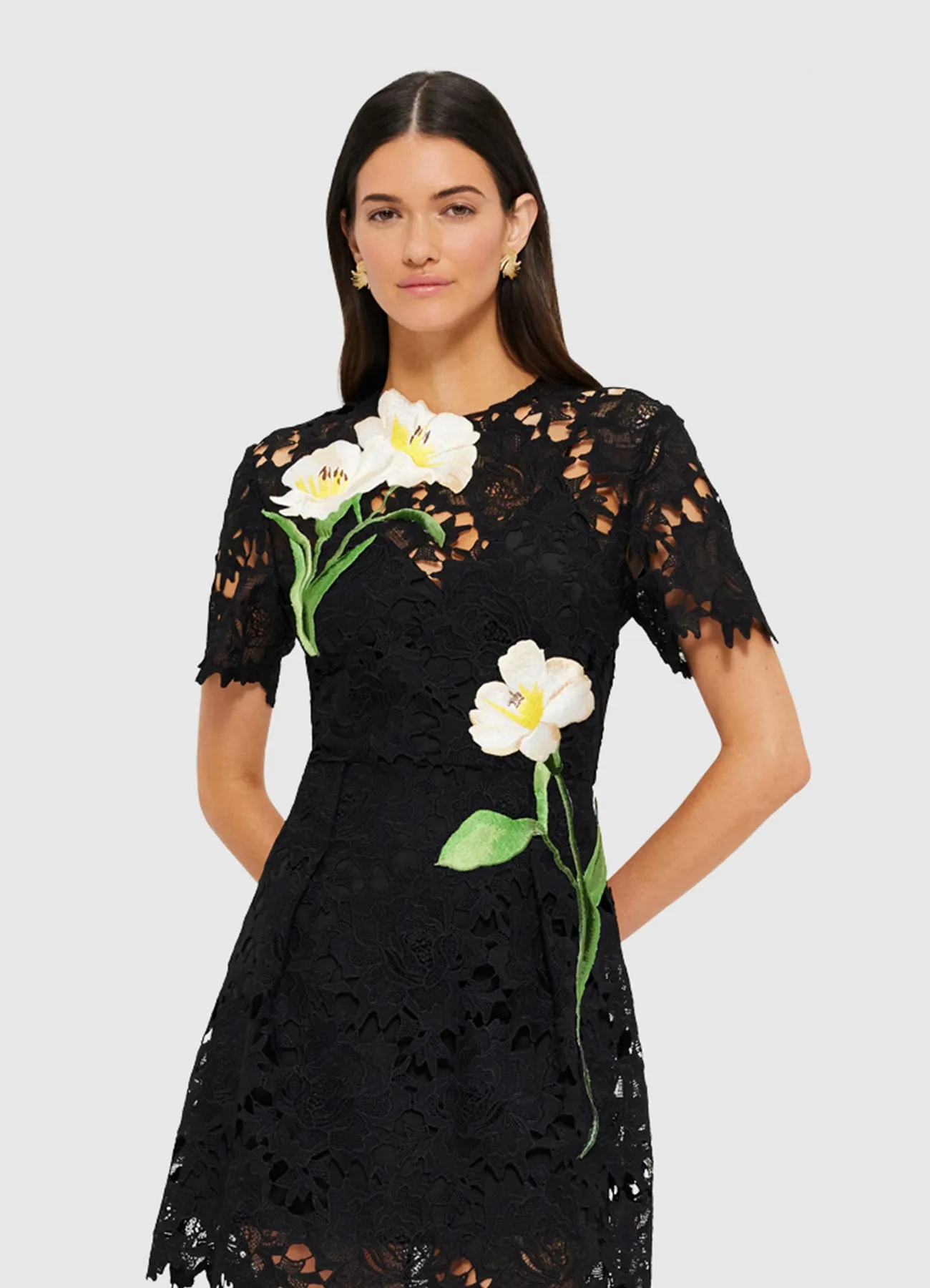 Margot Embroidered Lace Mini Dress - Ebony sold by LEO LIN product image thumbnail 5