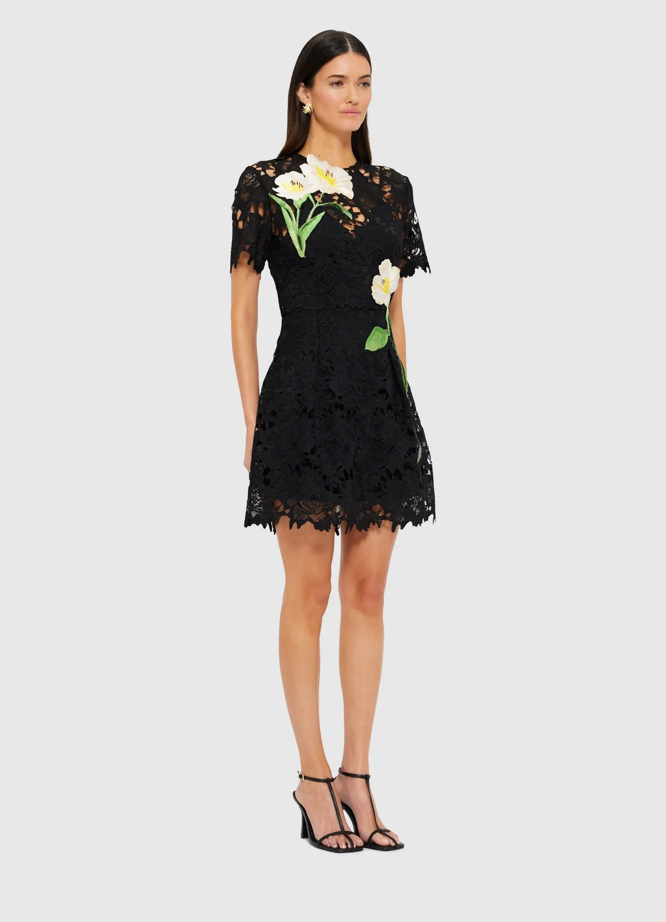 Margot Embroidered Lace Mini Dress - Ebony sold by LEO LIN product image thumbnail 3