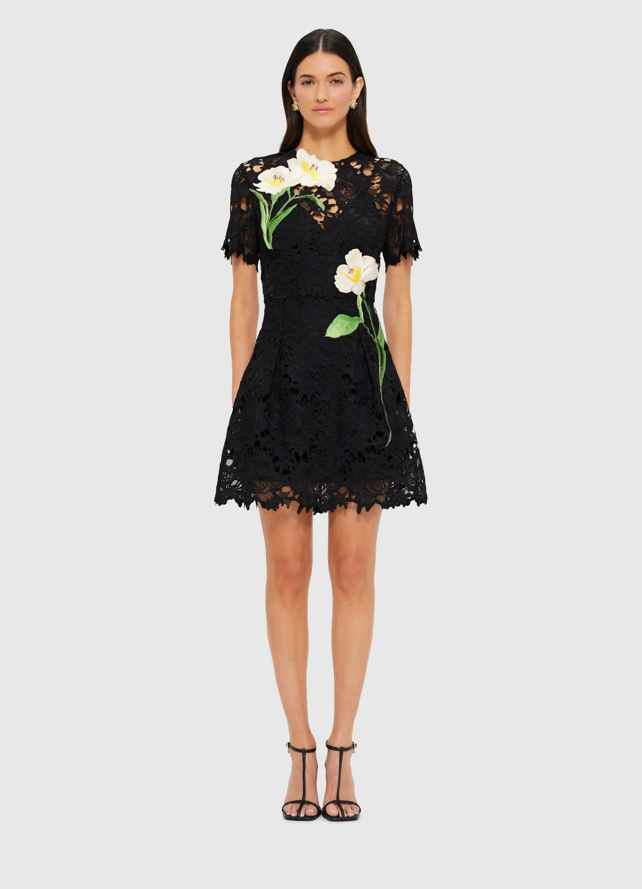 Margot Embroidered Lace Mini Dress - Ebony sold by LEO LIN product image thumbnail 2