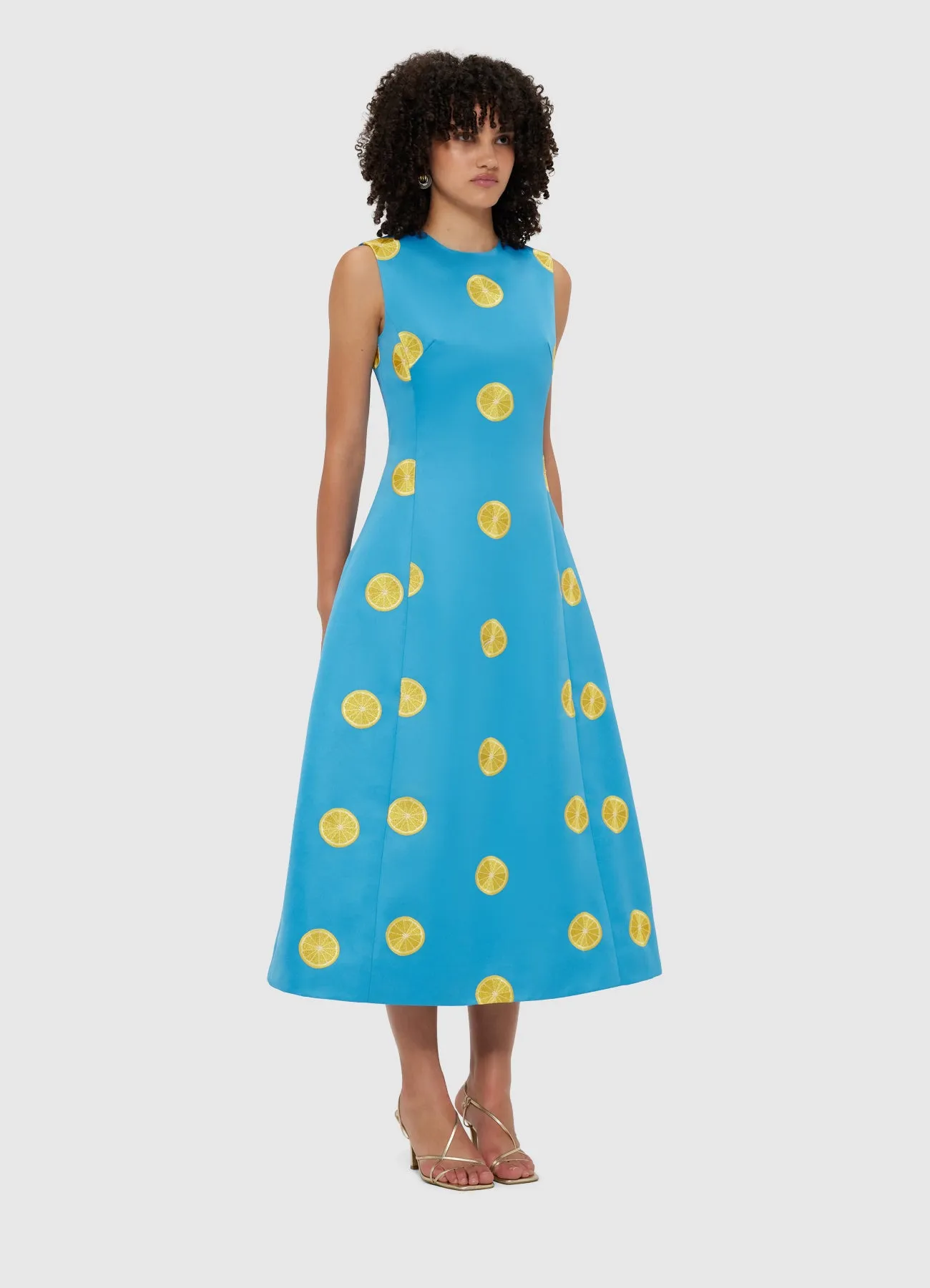 Cleo Embroidered Sleeveless Midi Dress - Citrus Embroidery sold by LEO LIN product image thumbnail 3