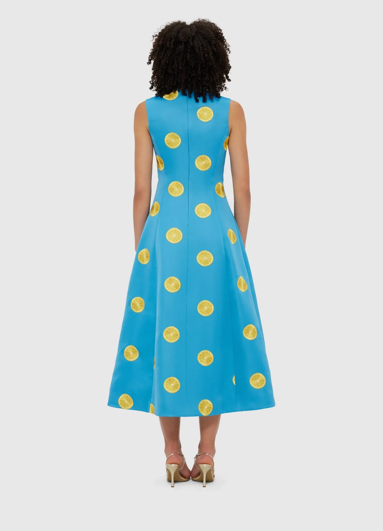 Cleo Embroidered Sleeveless Midi Dress - Citrus Embroidery sold by LEO LIN product image thumbnail 4