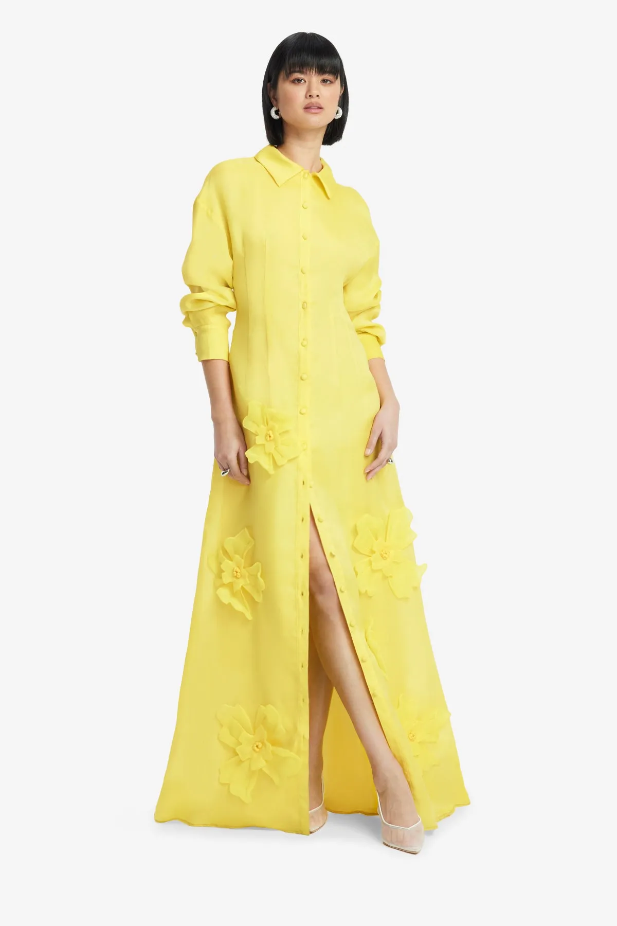 Jeanette Silk Floral Appliqué Maxi Dress - Sunshine sold by LEO LIN product image thumbnail 3