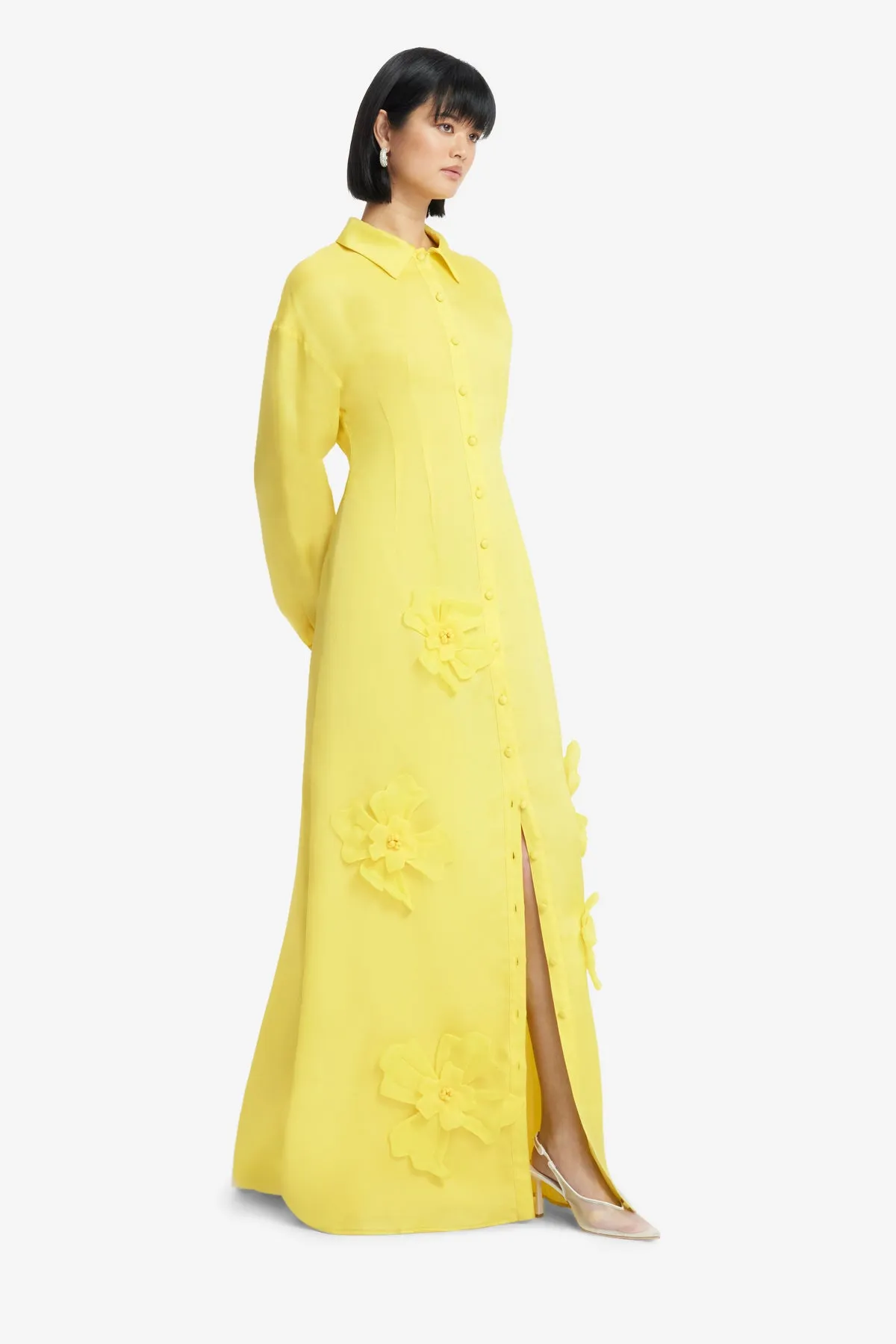 Jeanette Silk Floral Appliqué Maxi Dress - Sunshine sold by LEO LIN product image thumbnail 4