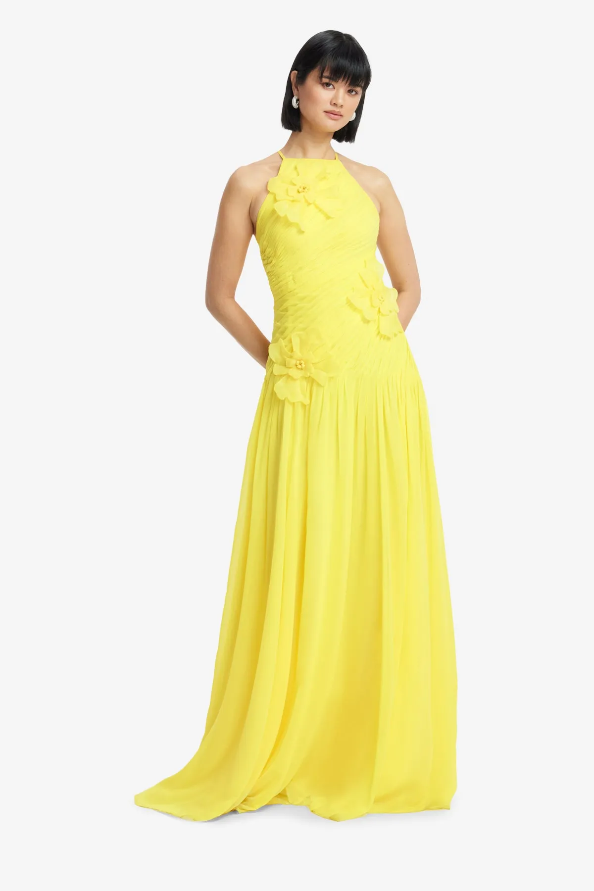 Amya Floral Appliqué Gown - Sunshine sold by LEO LIN product image thumbnail 3