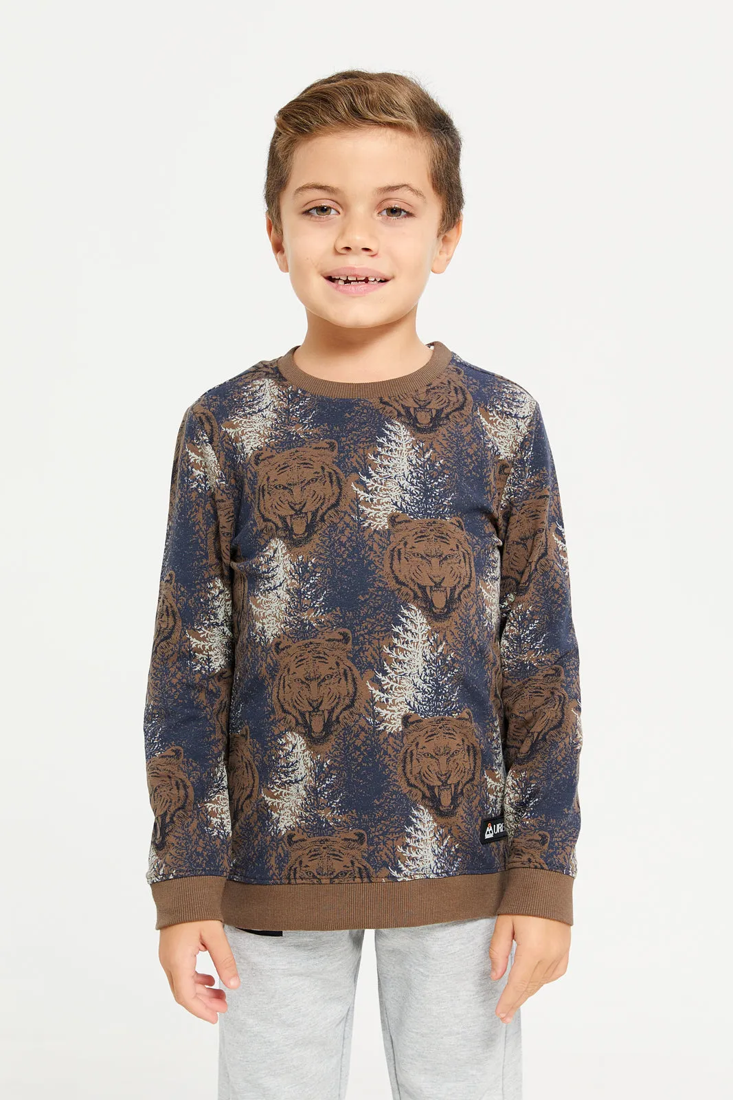 Boys Brown Bear All Over Print Sweatshirt sold by Redtag