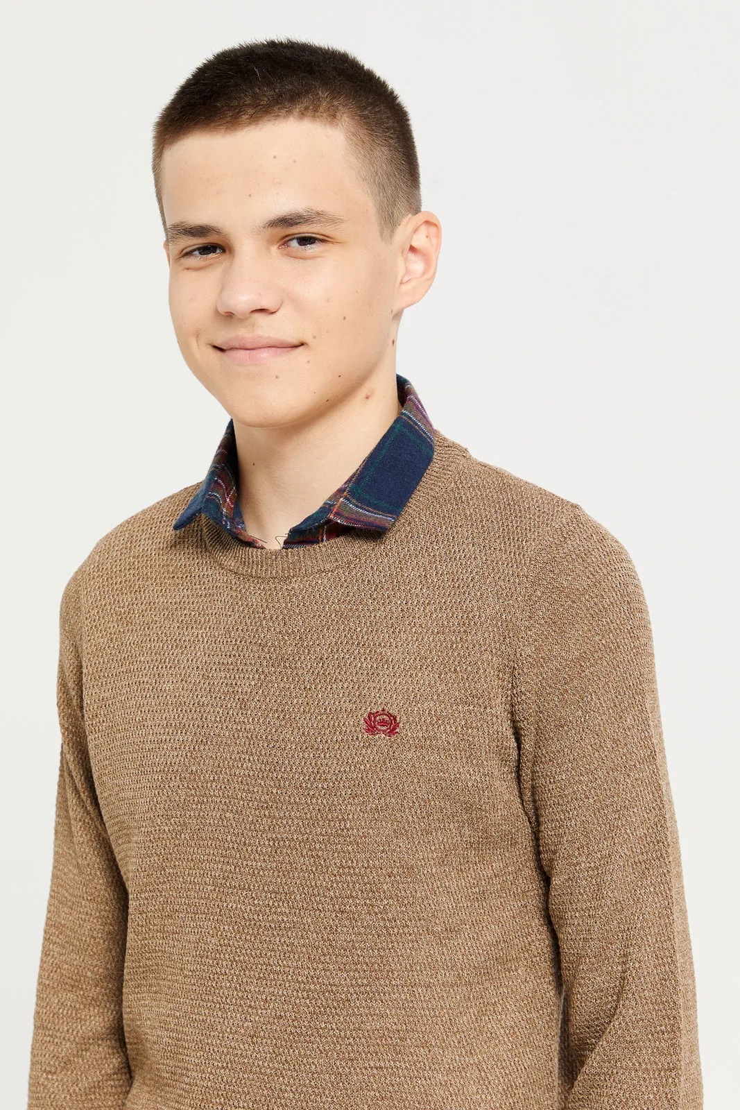 Senior Boys Beige Collared Sweater sold by Redtag product image thumbnail 4