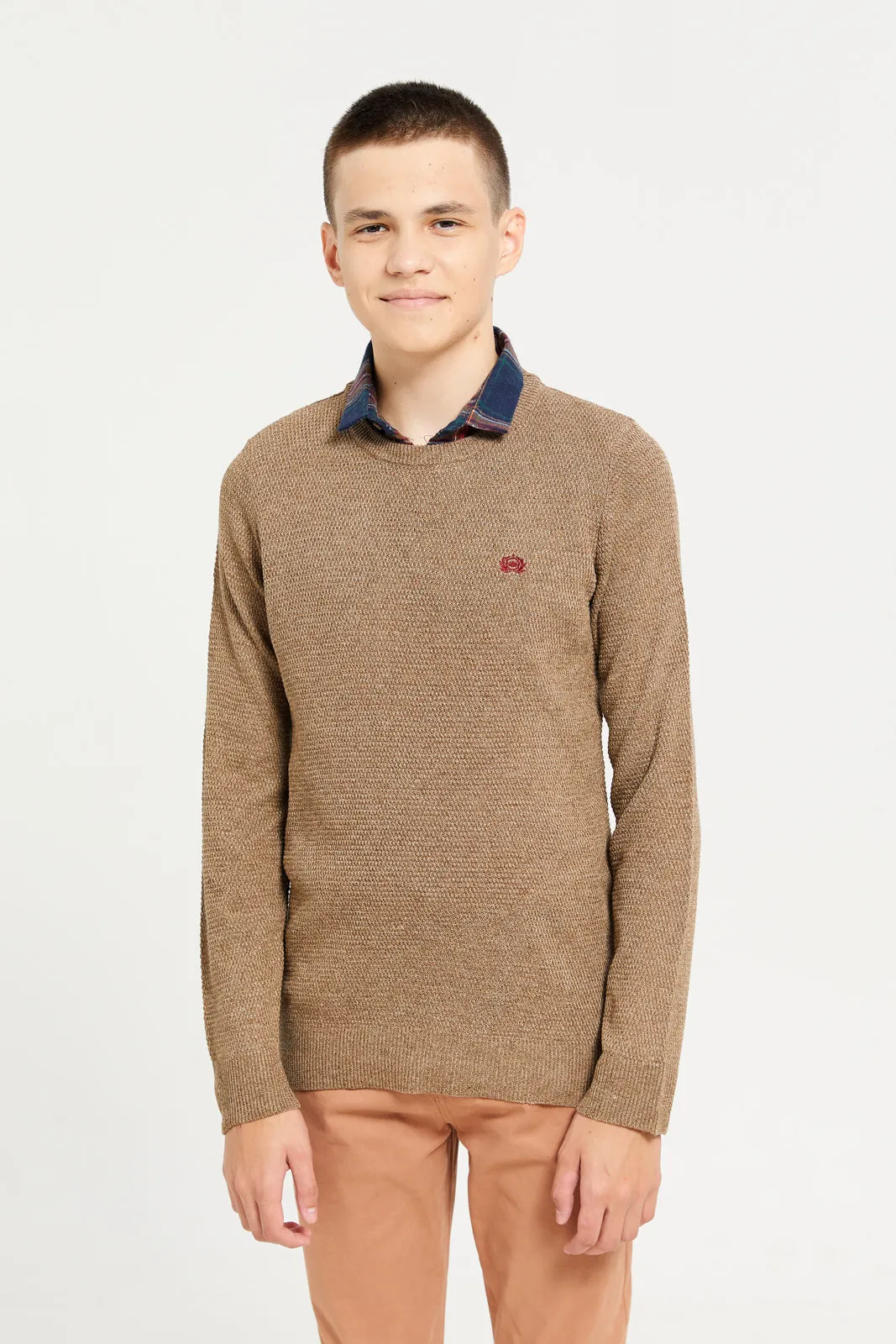 Senior Boys Beige Collared Sweater sold by Redtag