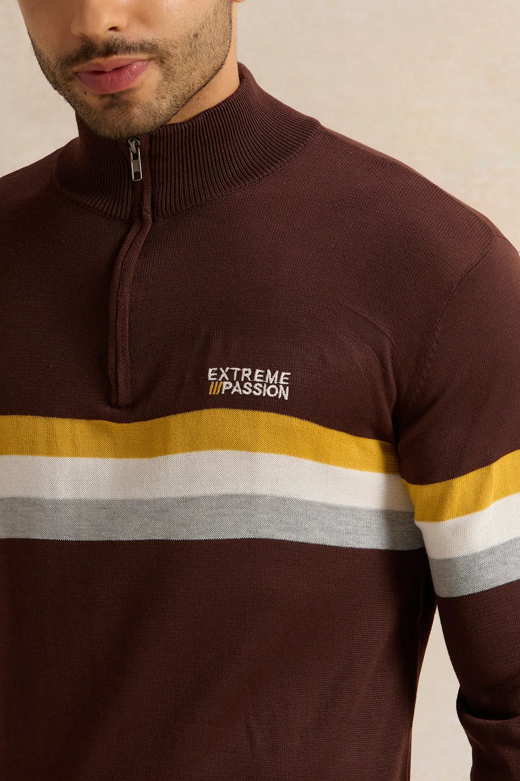 Men Brown Striped Sweater sold by Redtag product image thumbnail 4