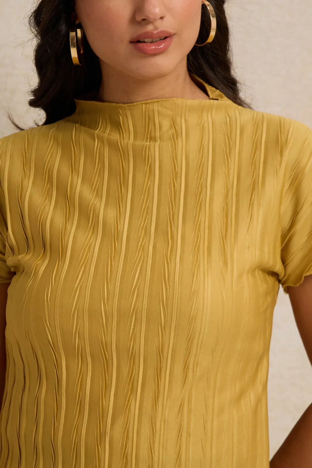 Women Mustard Textured Knit Top sold by Redtag product image thumbnail 4