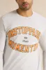 Men Grey Printed Sweatshirt sold by Redtag