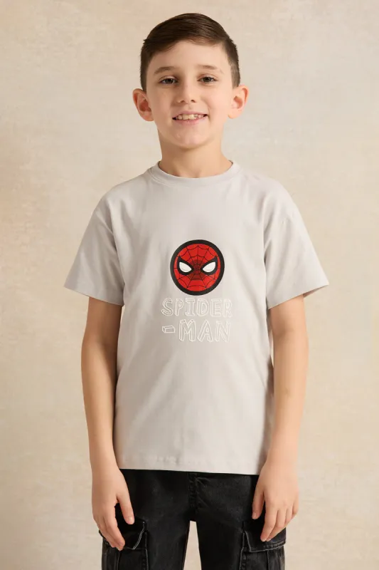 Boys Grey Spider Man Print T-Shirt sold by Redtag