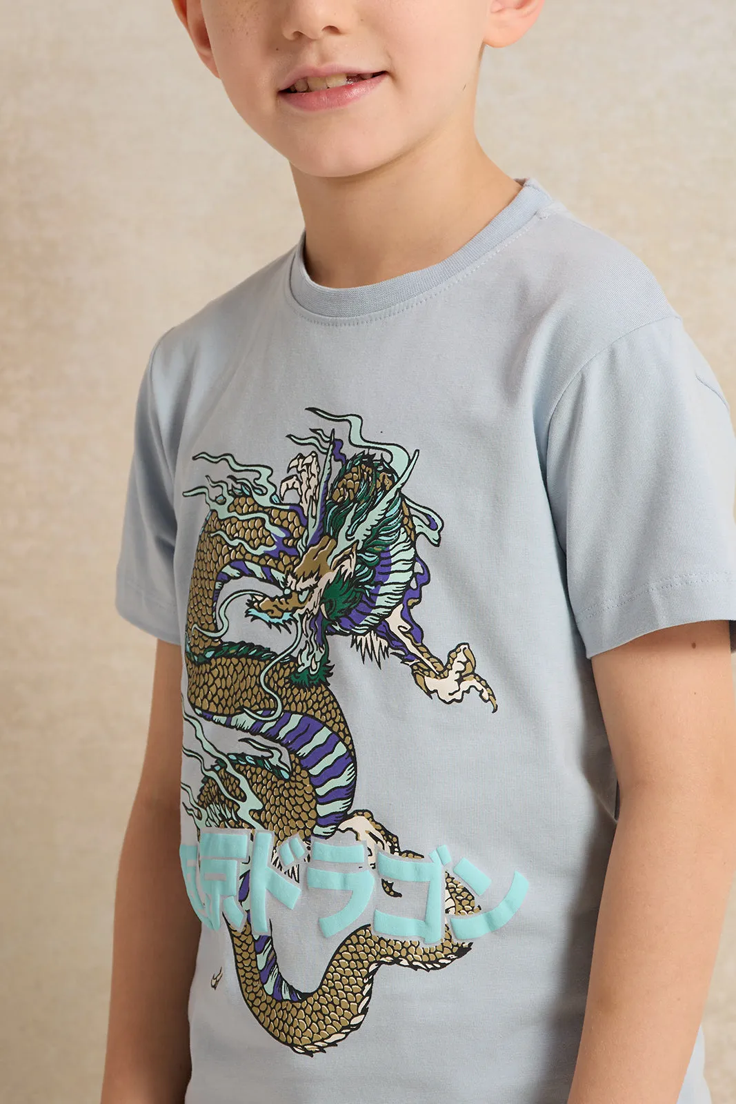 Boys Blue Print Round Neck T-Shirt sold by Redtag product image thumbnail 4