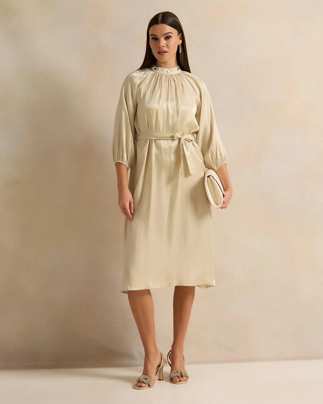 Women Beige Metallic Midi Dress- KWR wrongly mapped with LWR sold by Redtag product image thumbnail 4