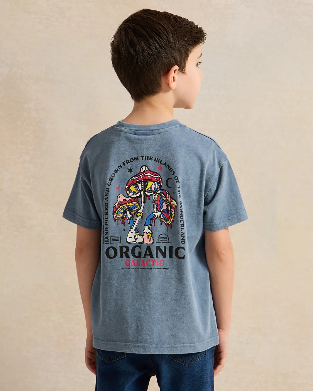 Boys Blue Printed T-shirt sold by Redtag product image thumbnail 3
