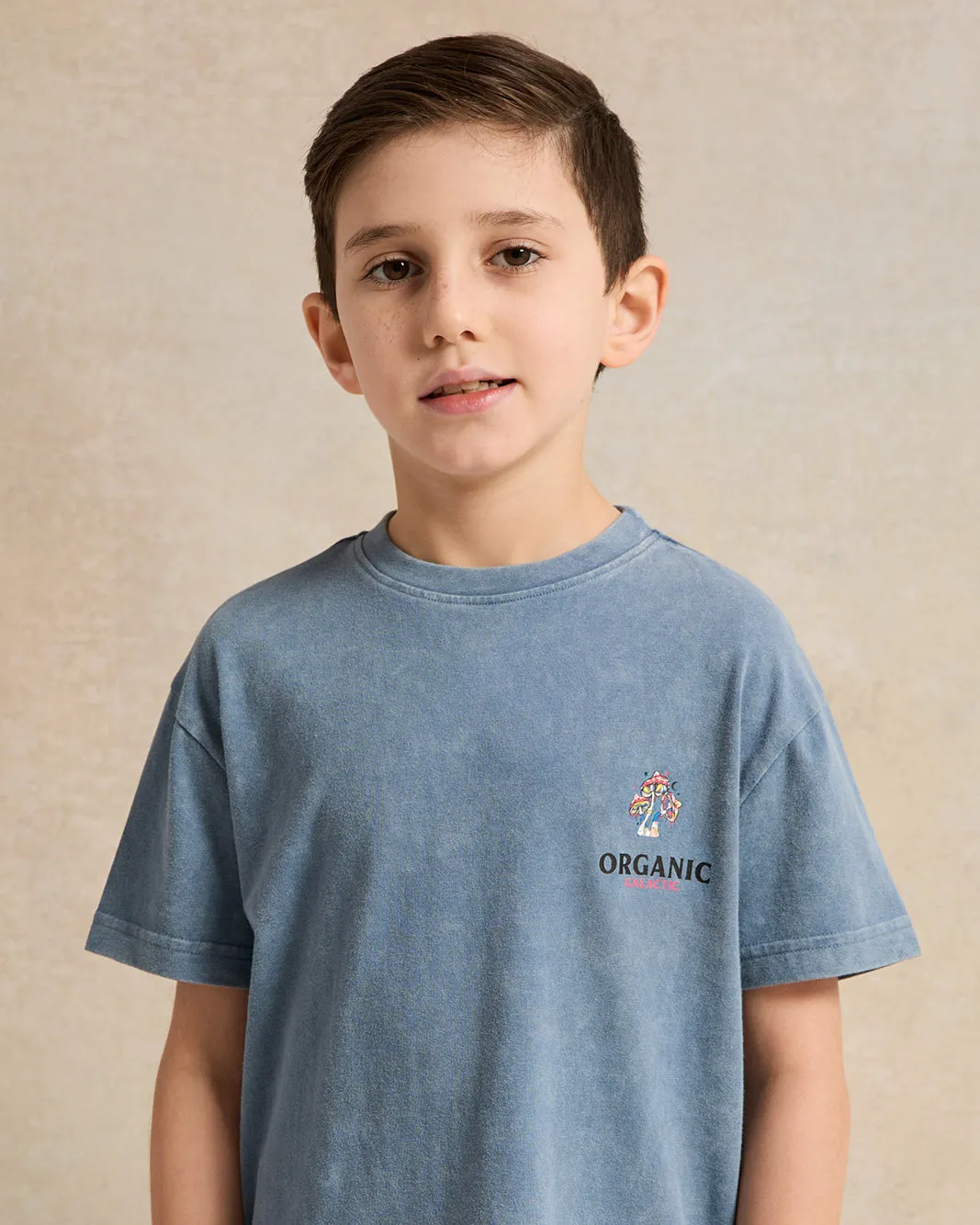 Boys Blue Printed T-shirt sold by Redtag product image thumbnail 4