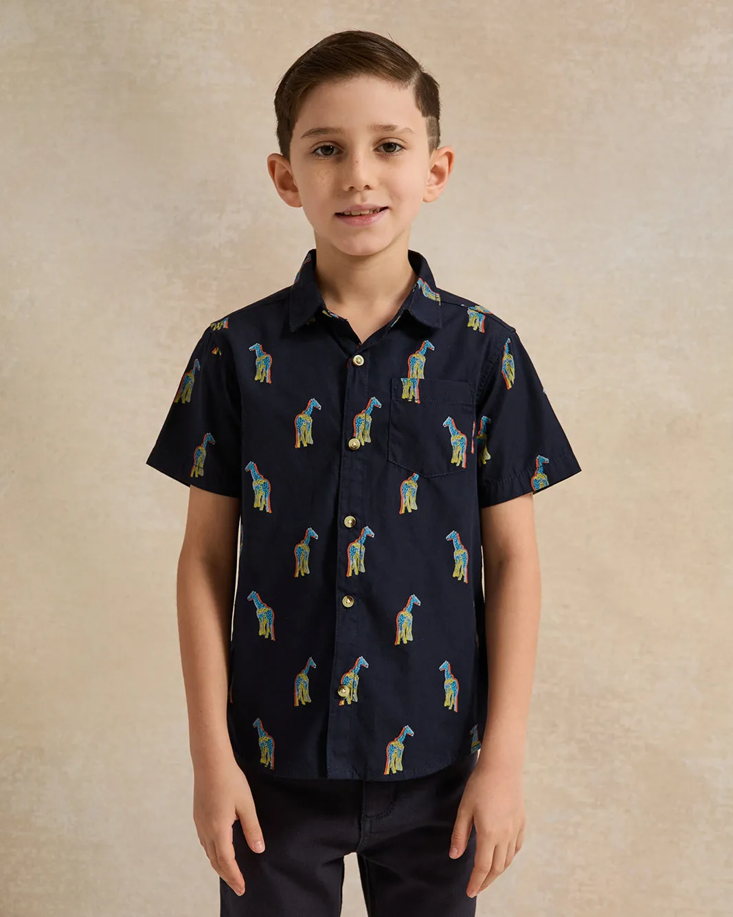 Boys Navy Giraffe Printed Shirt And T-Shirt (2 Piece) sold by Redtag