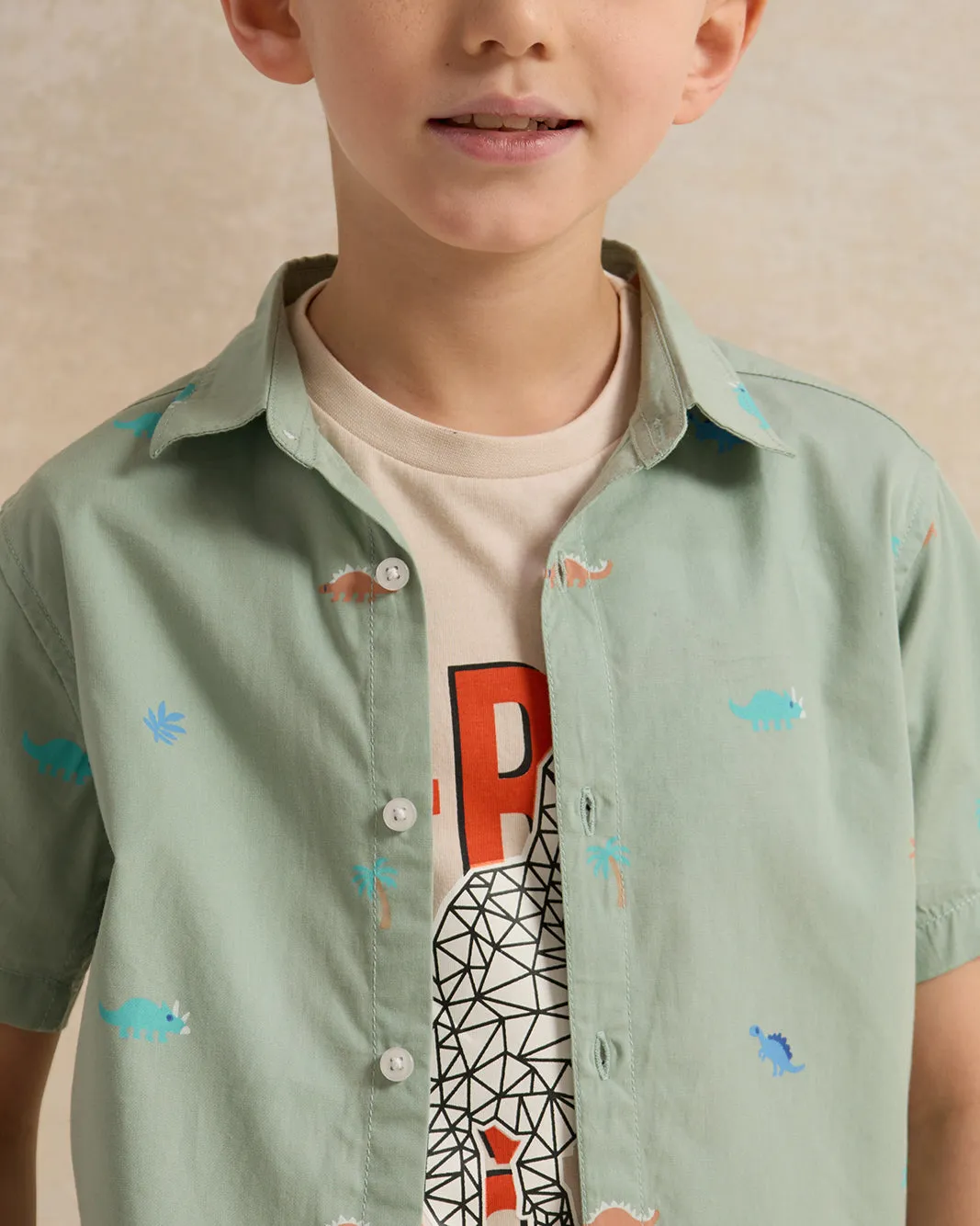 Boys Green And Beige Animal Shirt And T-Shirt (2 Piece) sold by Redtag product image thumbnail 5