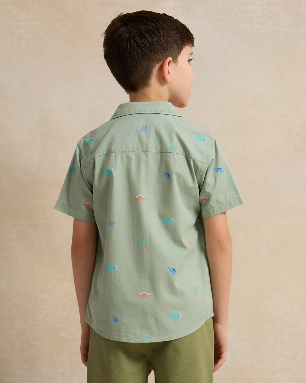 Boys Green And Beige Animal Shirt And T-Shirt (2 Piece) sold by Redtag product image thumbnail 4