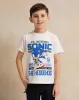 Boys White Printed T-Shirt sold by Redtag