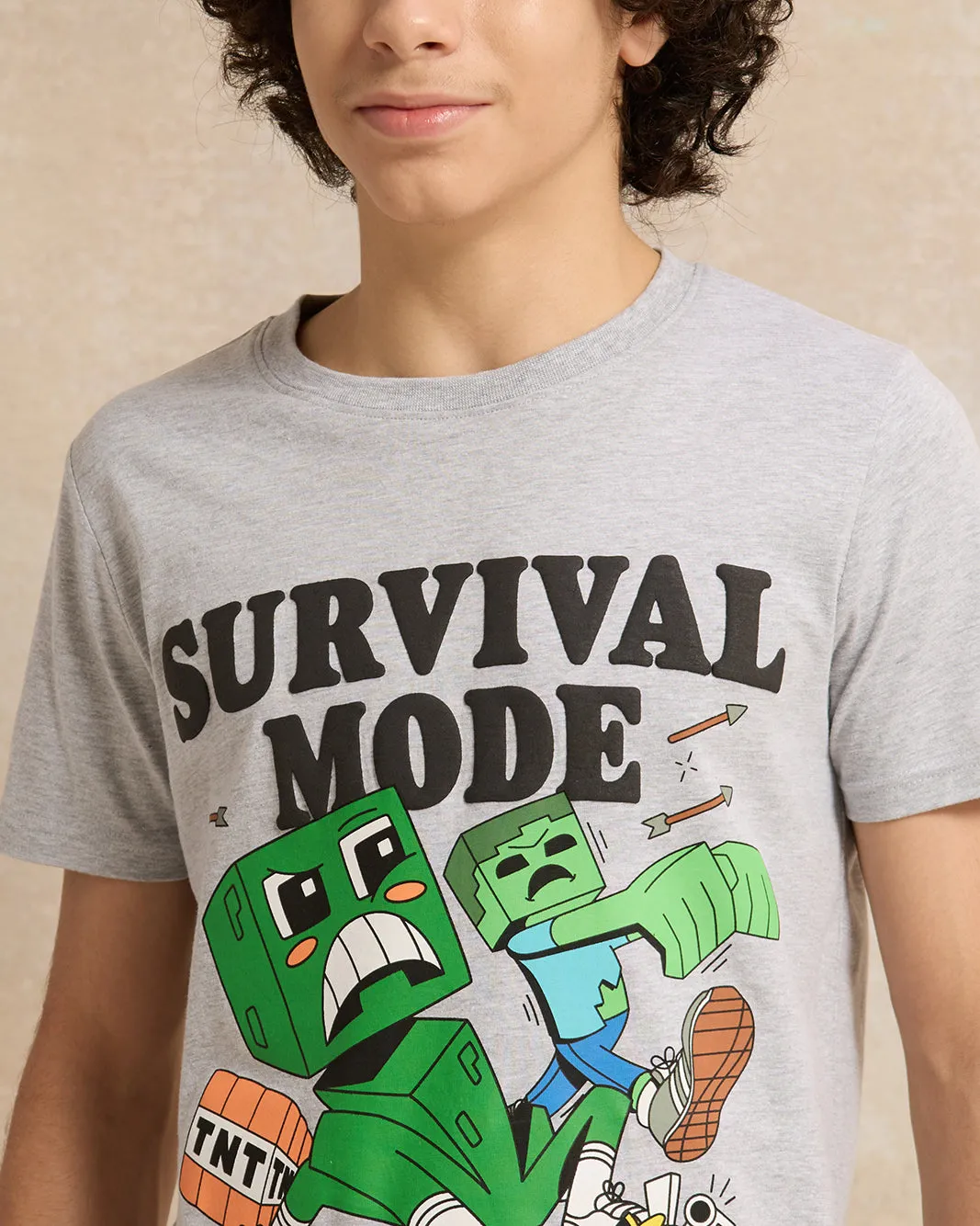 Senior Boys Grey Survival Mode Minecraft T-Shirt sold by Redtag product image thumbnail 4