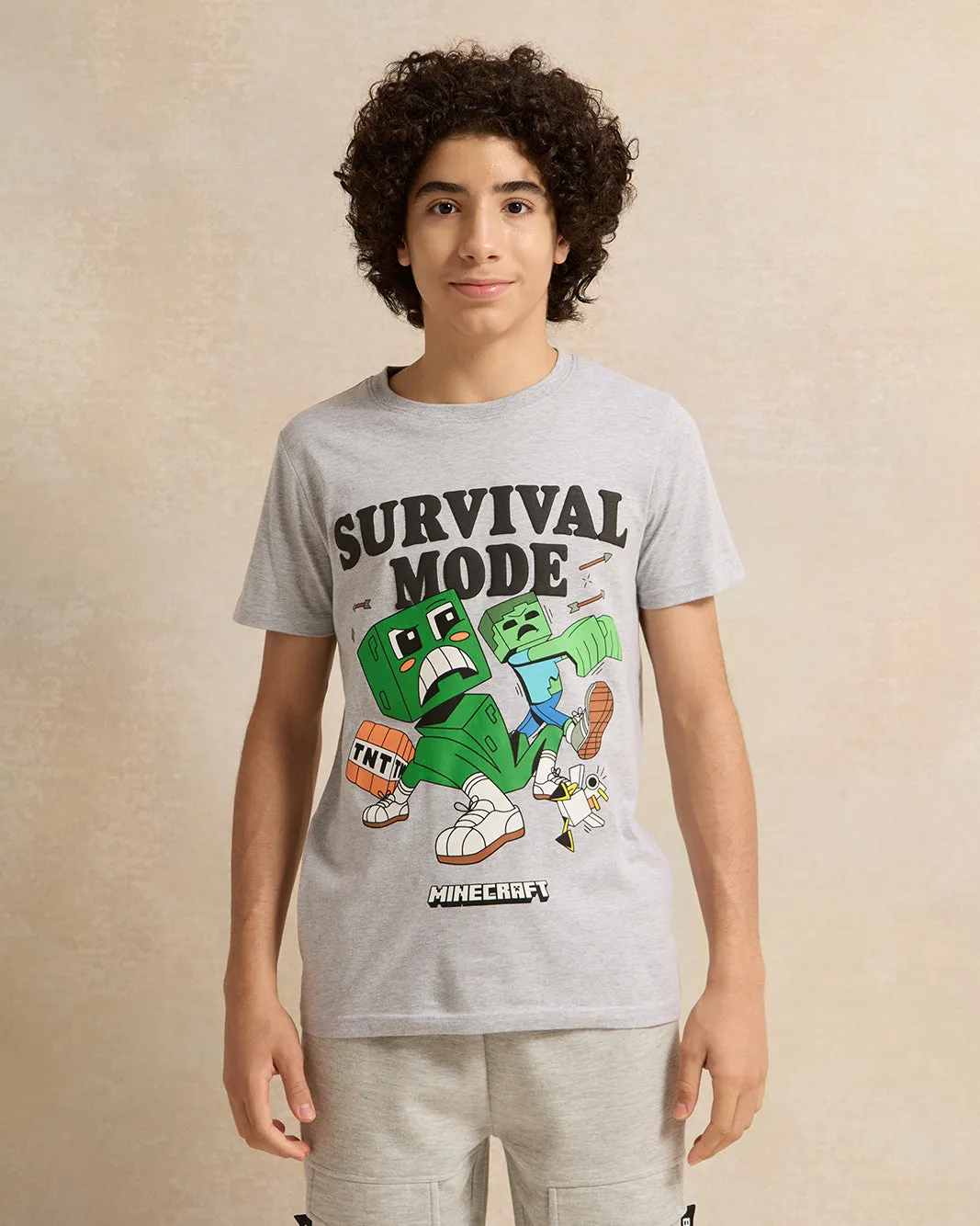 Senior Boys Grey Survival Mode Minecraft T-Shirt sold by Redtag