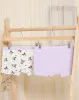 Senior Girls Lilac Kuromi Print Boxer Brief Set (Pack of 2) sold by Redtag