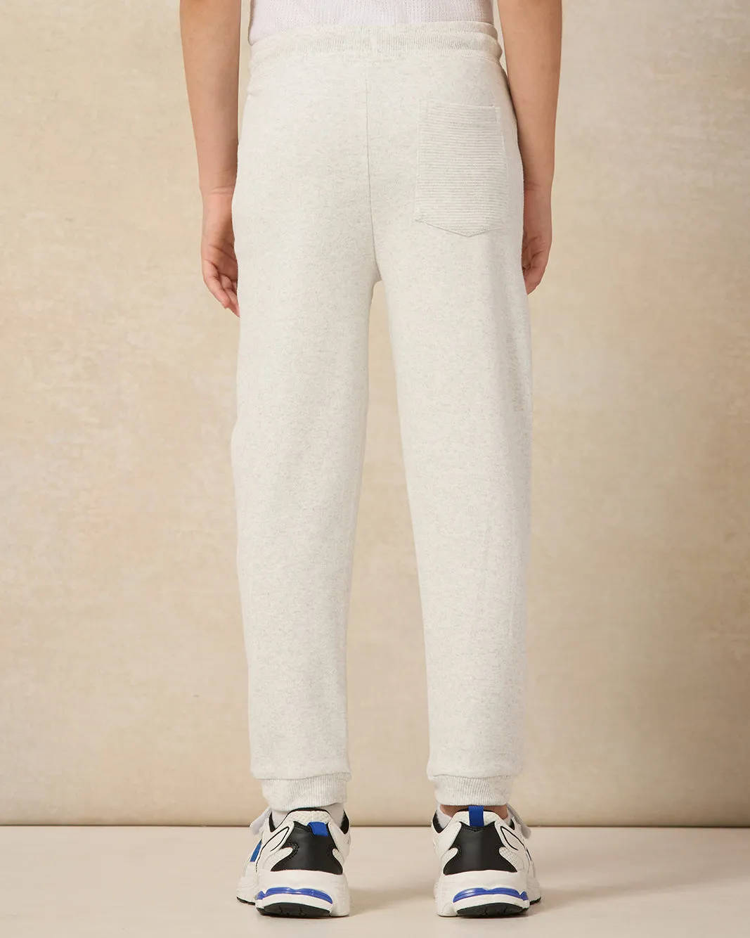 Boys Grey Plain Ottoman Paneled Jog Pants sold by Redtag product image thumbnail 3