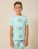Boys Blue Turtle Printed Pyjama Set (2 Piece) sold by Redtag