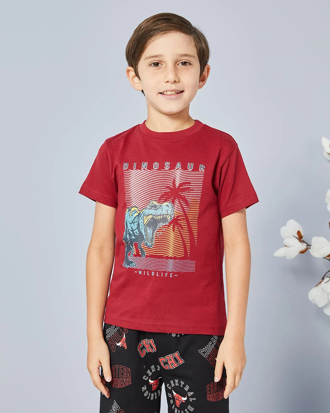 Boys Red Dino Print T-Shirt sold by Redtag