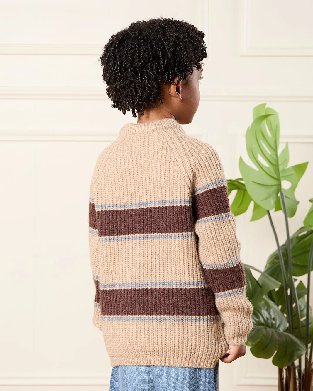Boys Brown And Beige Striped Pullover sold by Redtag product image thumbnail 3
