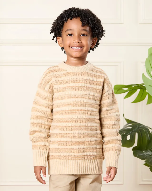 Boys Brown Striped Jumper sold by Redtag