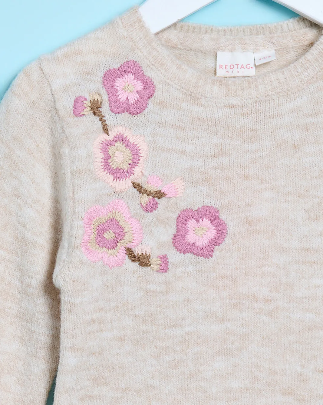 Infant Girls Ivory And Pink Embellished Pullover sold by Redtag product image thumbnail 2