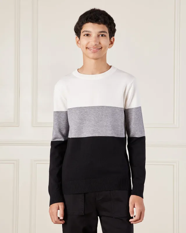 Senior Boys Multicolour Knitted Sweater sold by Redtag