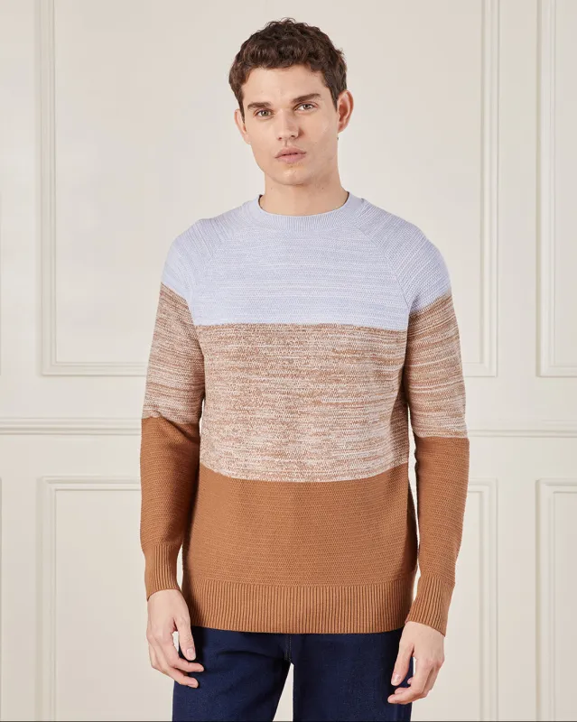 Men Brown Solid Sweater sold by Redtag