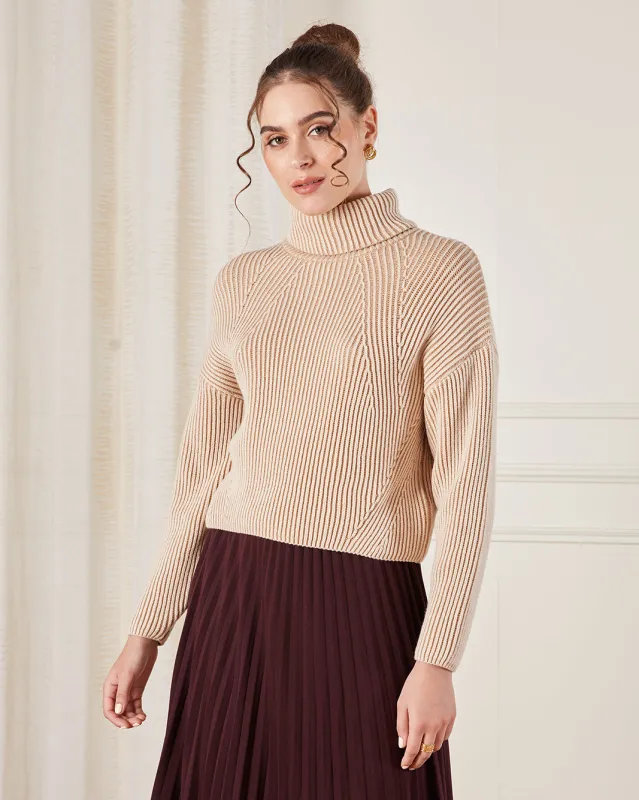 Women Brown Turtle Neck Knitted Pullover sold by Redtag