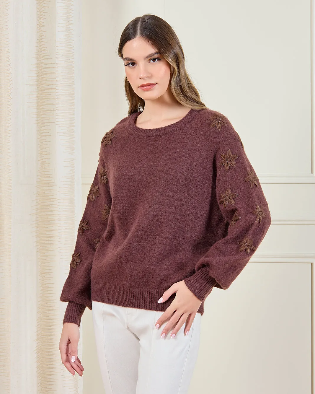 Women Brown Embroidered Pullover sold by Redtag
