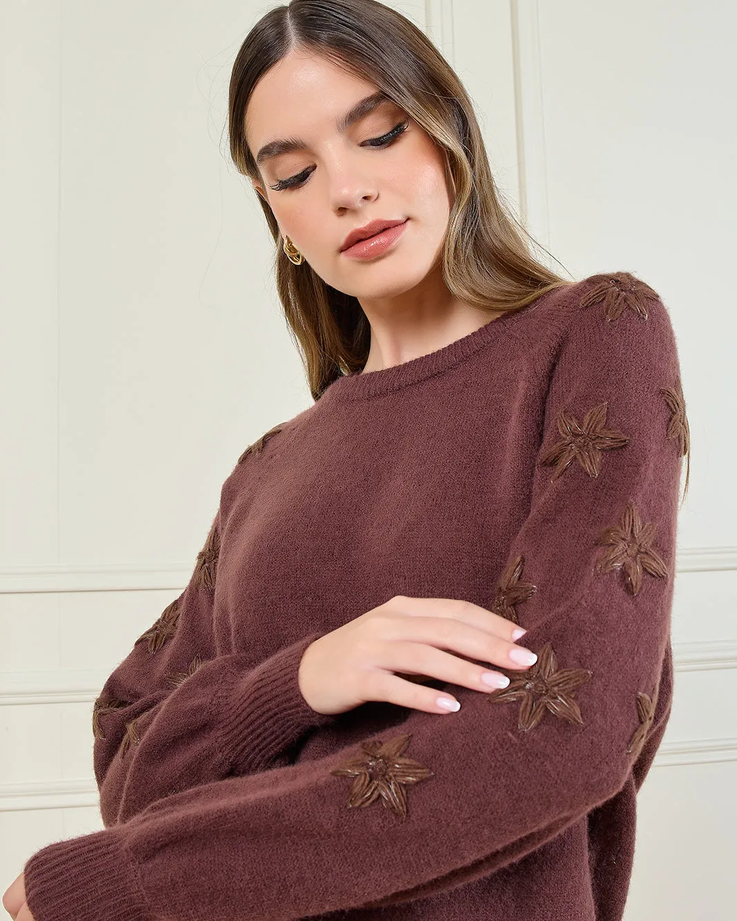 Women Brown Embroidered Pullover sold by Redtag product image thumbnail 4