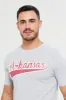 Grey Graphic T-Shirt sold by Redtag