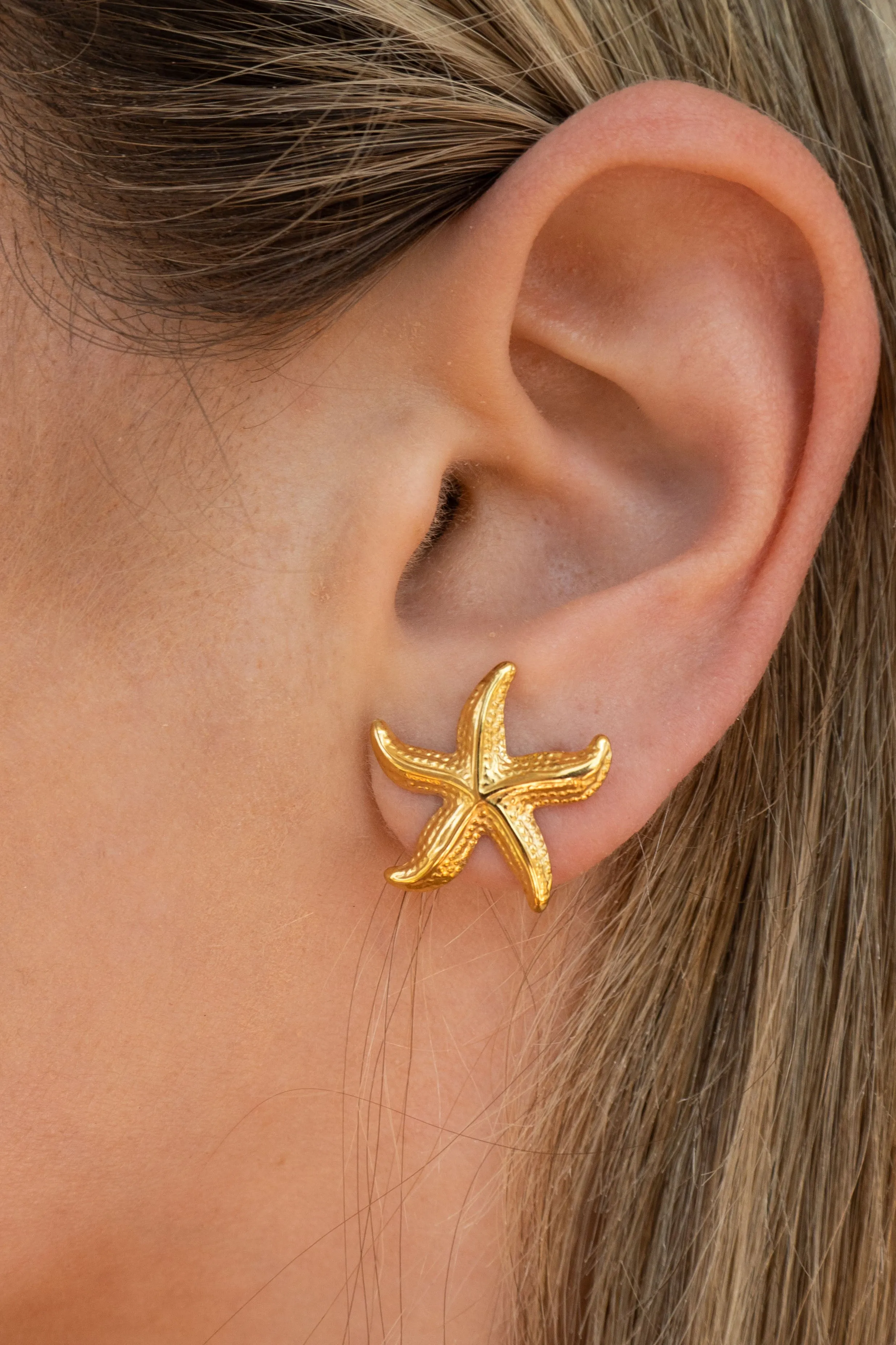 Starfish Earrings | Small sold by Grey Bandit