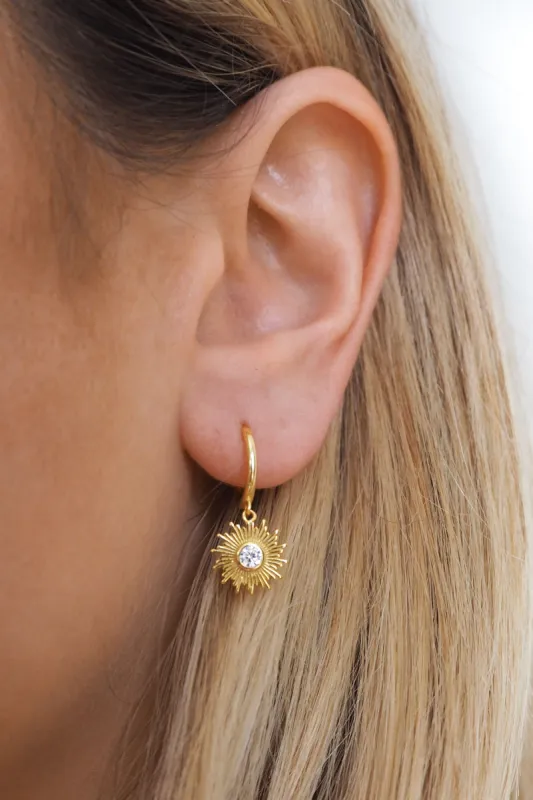 Ravi Huggies sold by Grey Bandit