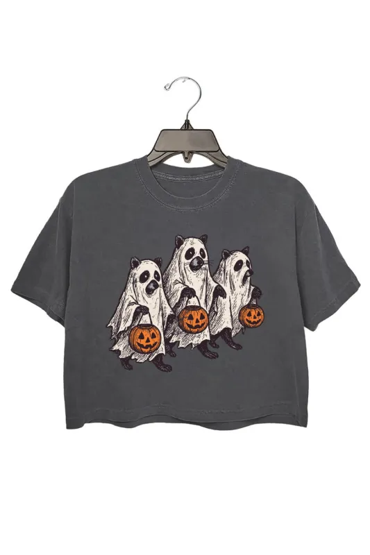 Trick Or Treat Halloween Raccoon Crop Top For Women sold by Fancy Tees