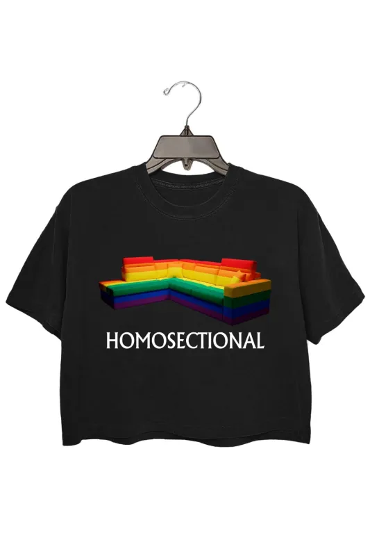 HOMOSECTIONAL Funny Pride Crop Top sold by Fancy Tees