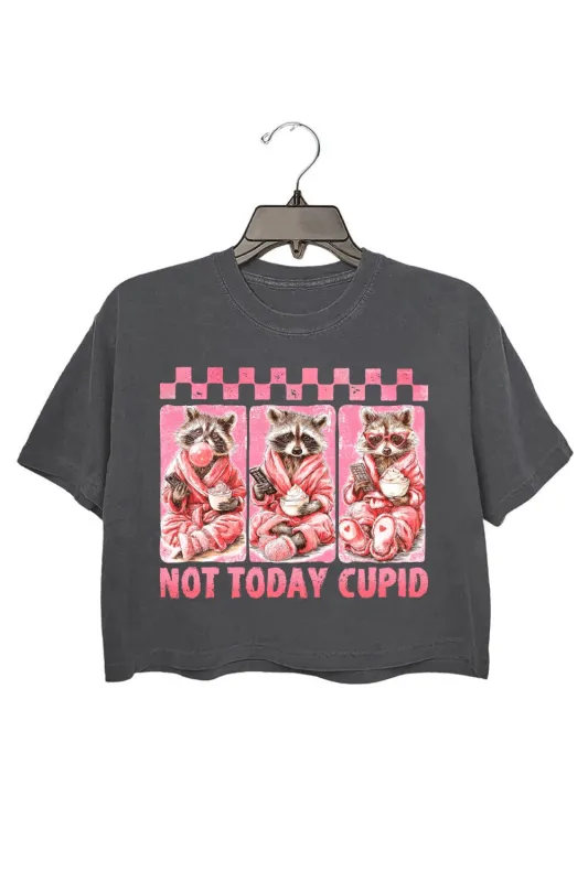 Not Today Cupid Snarky Raccoon Valentine Crop Top For Women sold by Fancy Tees