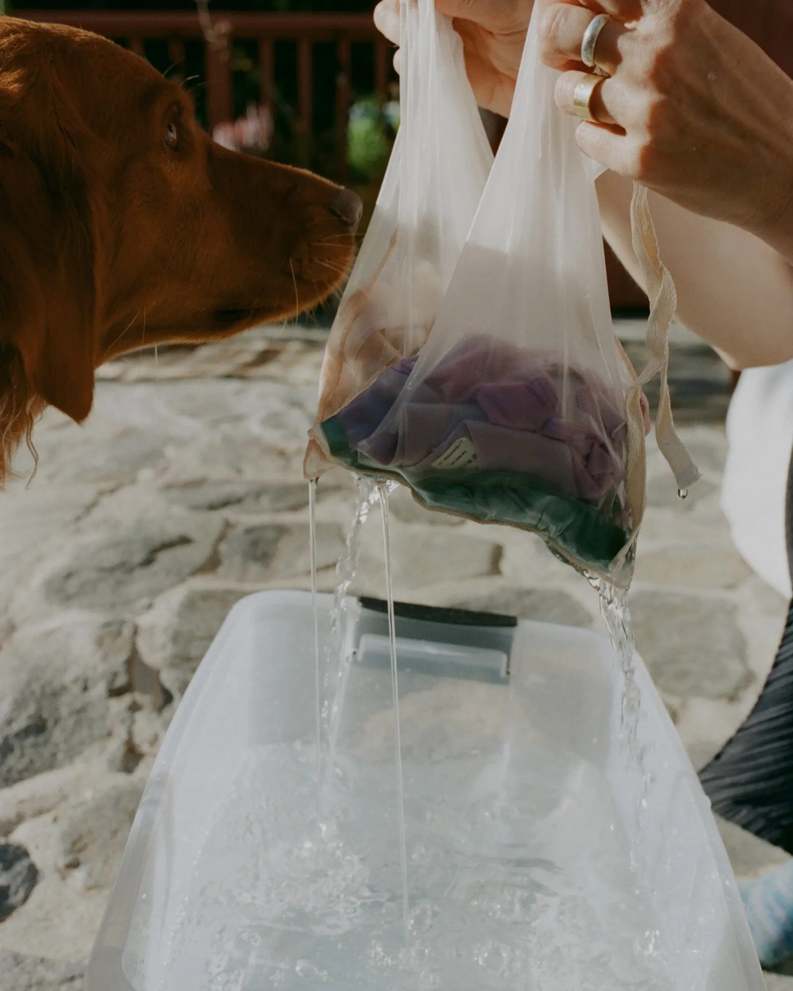 Surprise Pack - 2 Soft Bra sold by Baserange product image thumbnail 5