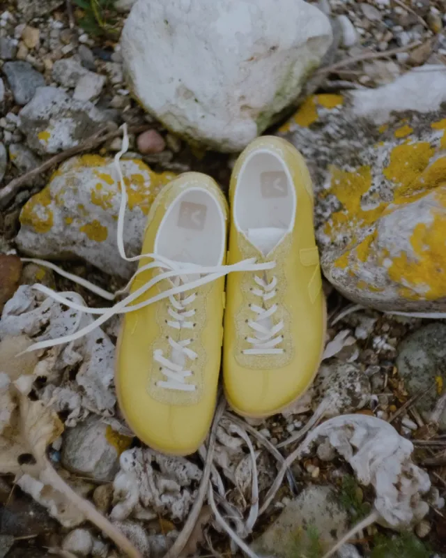 Jitsu VEJA x Baserange made by Baserange