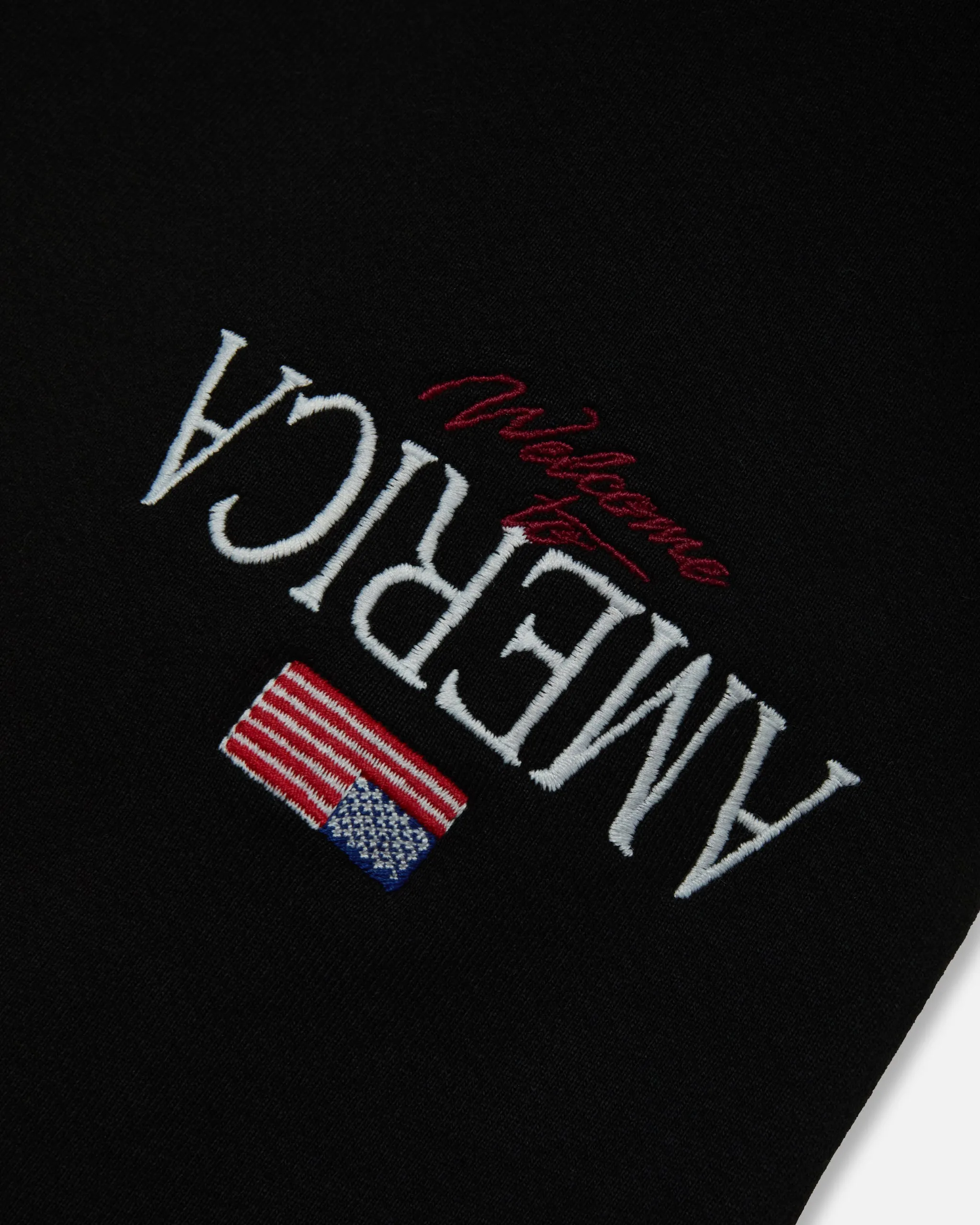 WELCOME TO AMERICA SWEATPANT - BLACK BEAUTY sold by Willy Chavarria product image thumbnail 3