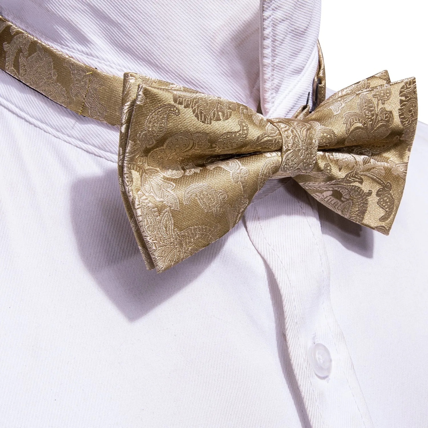 Gold Paisley Pre-tied Bow Tie Hanky Cufflinks Set sold by Ties2You product image thumbnail 2