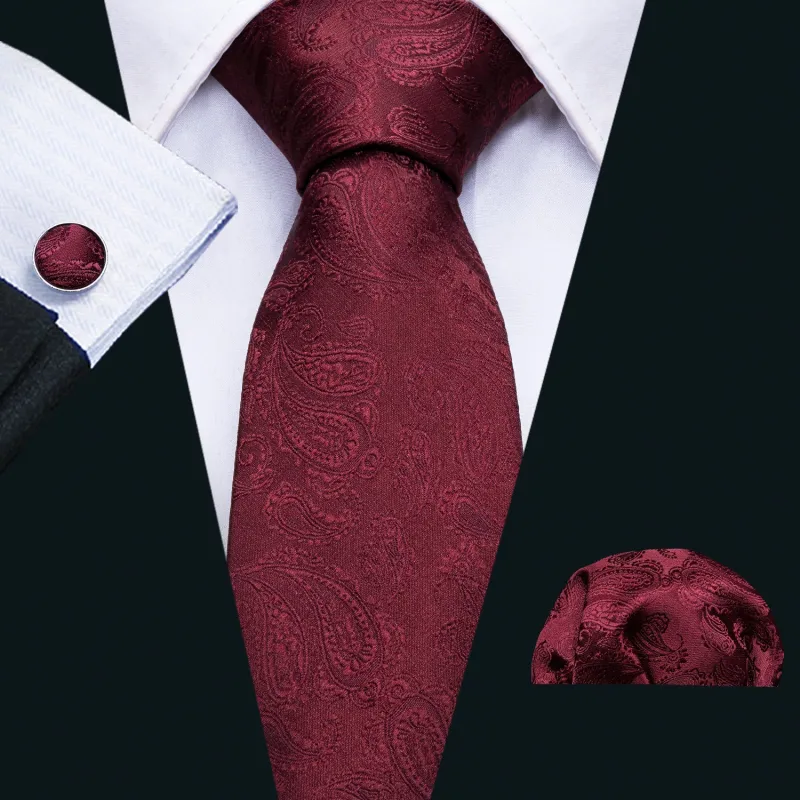 Ties2you Burgundy Tie for Men Paisley Silk Necktie Set for Suit Top sold by Ties2You