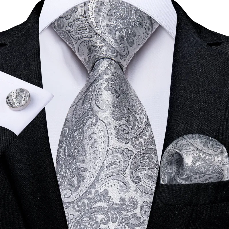 Ties2you Silver Paisley Silk Tie Mens Wedding Formal Necktie Handkercheif Cufflinks Set sold by Ties2You