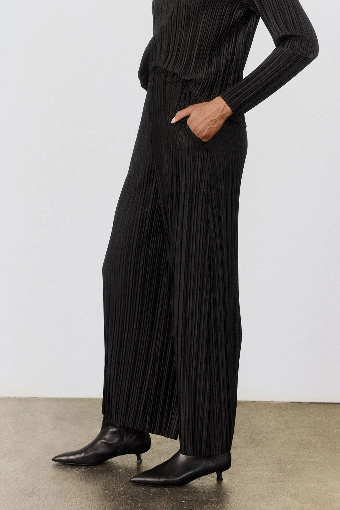 Relaxed Pleated Pants sold by Ruti product image thumbnail 2